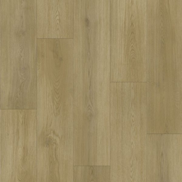 Nevada finish