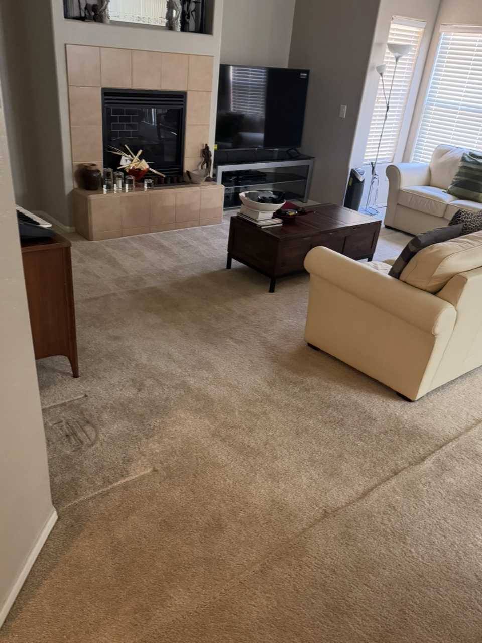 Living room before — old carpet